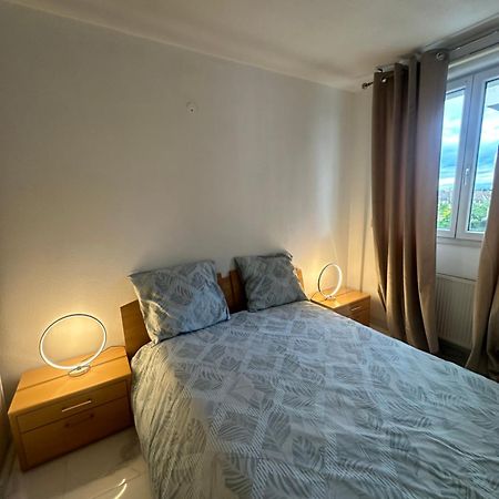 Apartamento Tres Beau Trois Pieces Avec Vue Degagee Estrasburgo Exterior foto