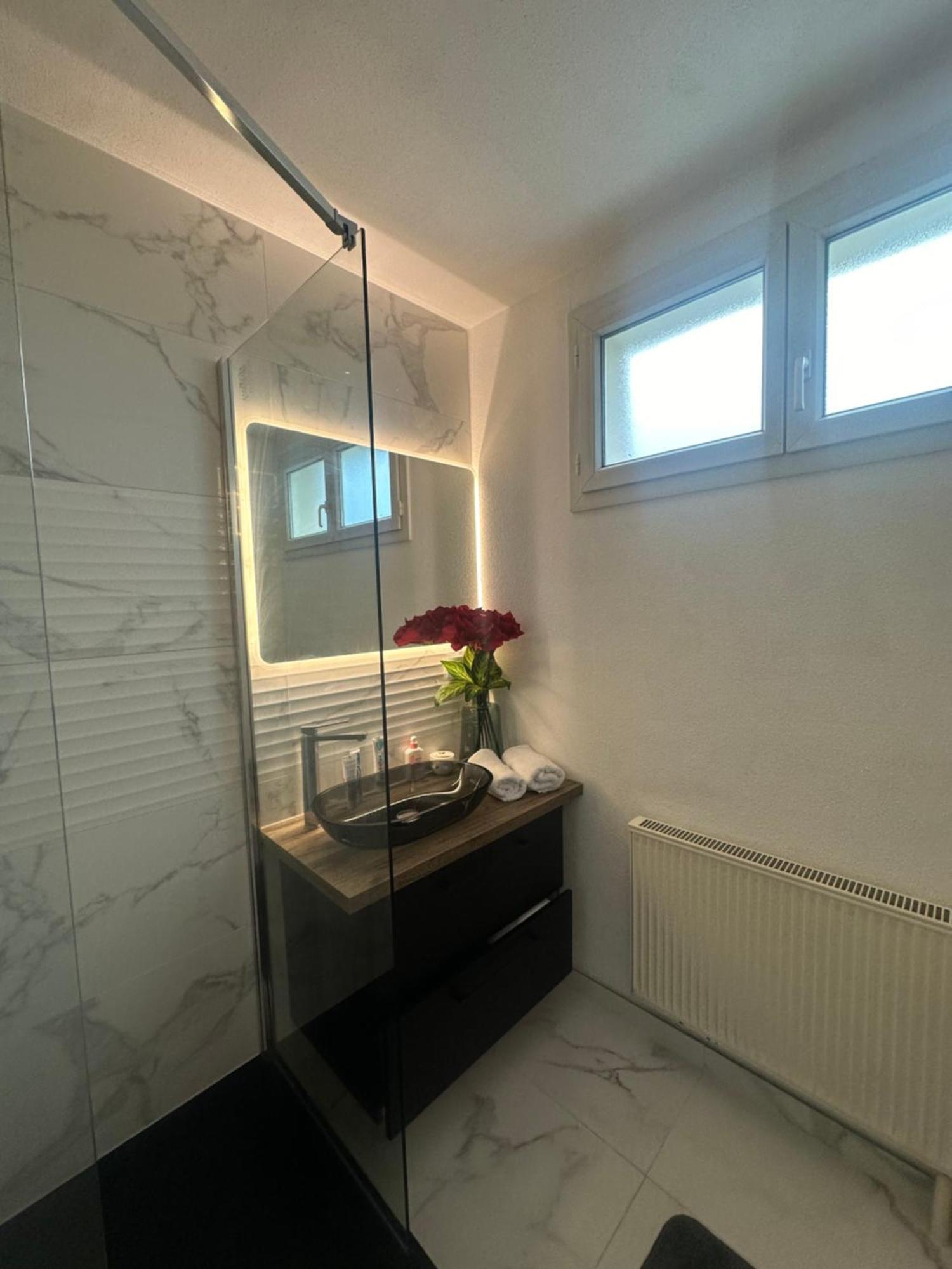 Apartamento Tres Beau Trois Pieces Avec Vue Degagee Estrasburgo Exterior foto